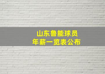 山东鲁能球员年薪一览表公布