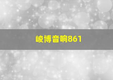 峻博音响861