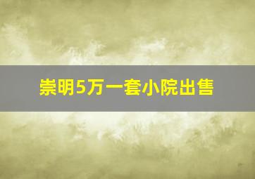 崇明5万一套小院出售