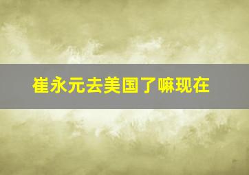 崔永元去美国了嘛现在