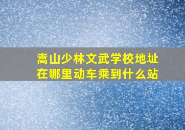 嵩山少林文武学校地址在哪里动车乘到什么站