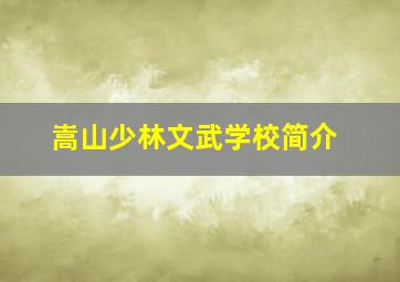 嵩山少林文武学校简介