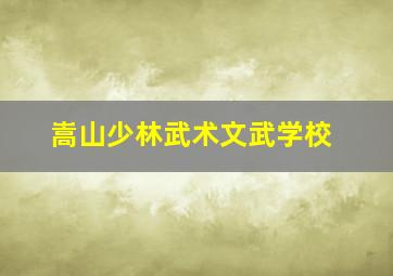 嵩山少林武术文武学校