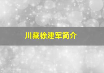 川藏徐建军简介