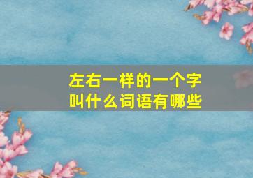 左右一样的一个字叫什么词语有哪些