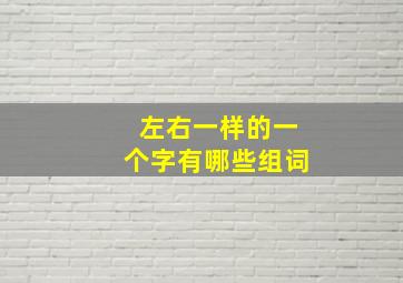 左右一样的一个字有哪些组词