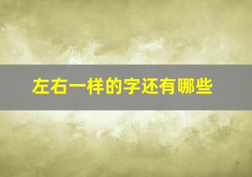 左右一样的字还有哪些