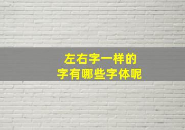 左右字一样的字有哪些字体呢