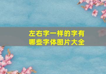 左右字一样的字有哪些字体图片大全