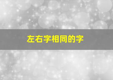 左右字相同的字