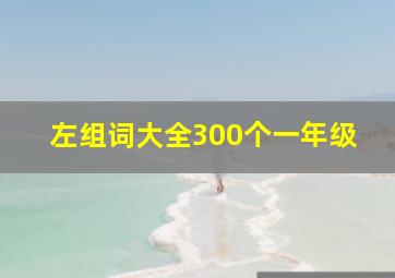 左组词大全300个一年级