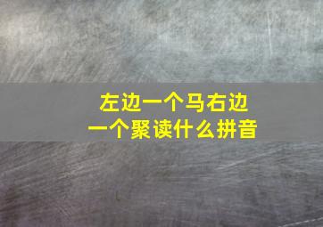 左边一个马右边一个聚读什么拼音