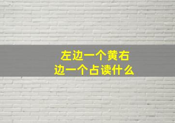 左边一个黄右边一个占读什么