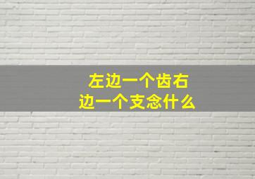 左边一个齿右边一个支念什么