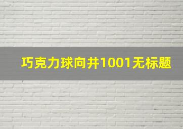 巧克力球向井1001无标题