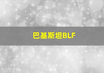 巴基斯坦BLF