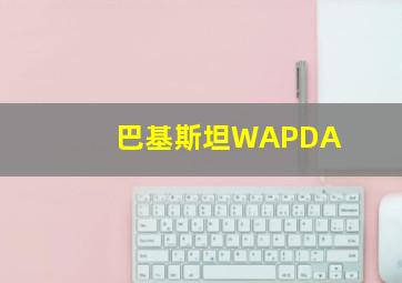 巴基斯坦WAPDA