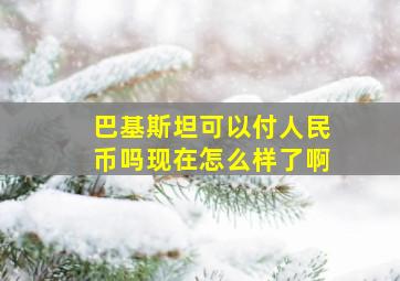 巴基斯坦可以付人民币吗现在怎么样了啊