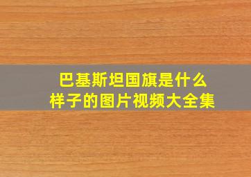 巴基斯坦国旗是什么样子的图片视频大全集