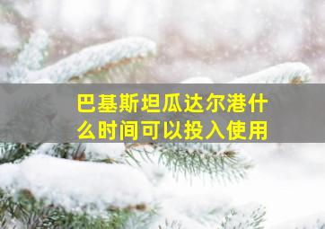 巴基斯坦瓜达尔港什么时间可以投入使用