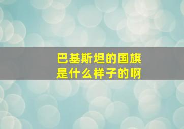 巴基斯坦的国旗是什么样子的啊