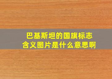 巴基斯坦的国旗标志含义图片是什么意思啊