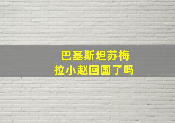 巴基斯坦苏梅拉小赵回国了吗