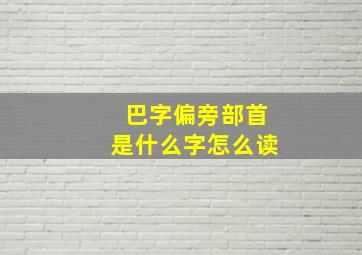 巴字偏旁部首是什么字怎么读