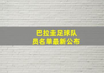 巴拉圭足球队员名单最新公布