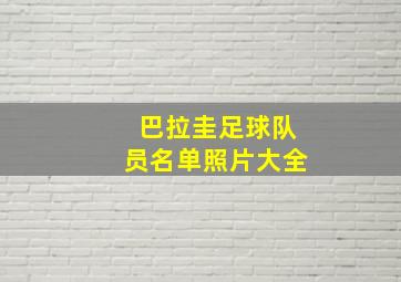 巴拉圭足球队员名单照片大全