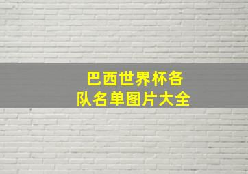 巴西世界杯各队名单图片大全