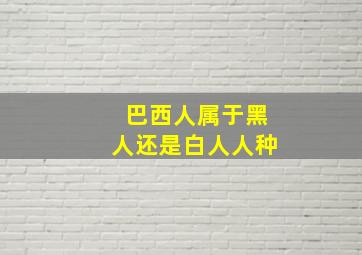 巴西人属于黑人还是白人人种