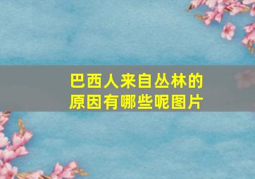 巴西人来自丛林的原因有哪些呢图片