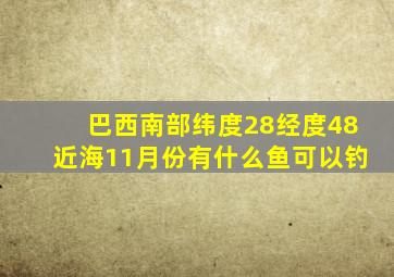 巴西南部纬度28经度48近海11月份有什么鱼可以钓