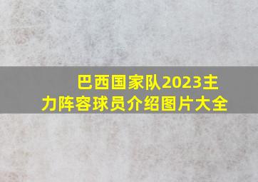 巴西国家队2023主力阵容球员介绍图片大全