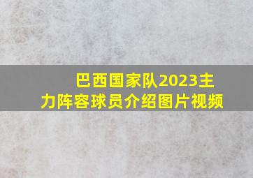 巴西国家队2023主力阵容球员介绍图片视频