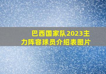 巴西国家队2023主力阵容球员介绍表图片