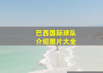 巴西国际球队介绍图片大全