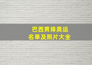 巴西男排奥运名单及照片大全