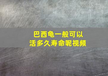 巴西龟一般可以活多久寿命呢视频