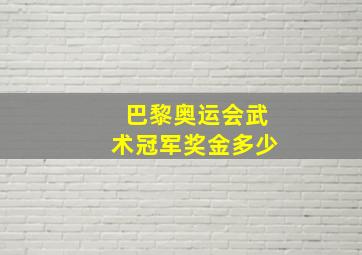 巴黎奥运会武术冠军奖金多少