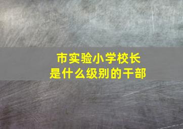 市实验小学校长是什么级别的干部