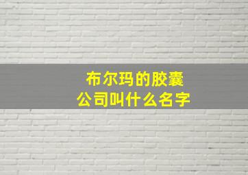 布尔玛的胶囊公司叫什么名字