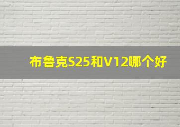 布鲁克S25和V12哪个好