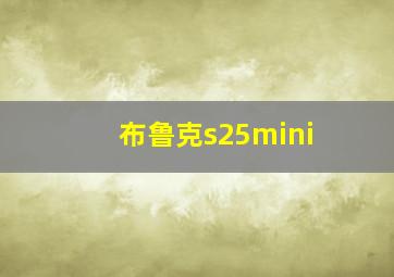 布鲁克s25mini