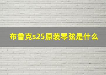 布鲁克s25原装琴弦是什么