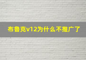 布鲁克v12为什么不推广了