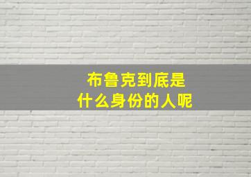 布鲁克到底是什么身份的人呢