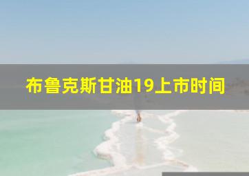 布鲁克斯甘油19上市时间