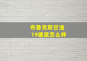 布鲁克斯甘油19缓震怎么样